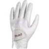 Ping 193 Ladies Sport Glove Left Hand  