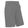 FootJoy Performance Short Grey  